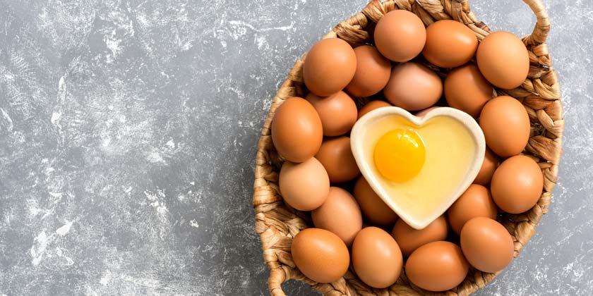 Alergia, Sensibilidad e Intolerancia