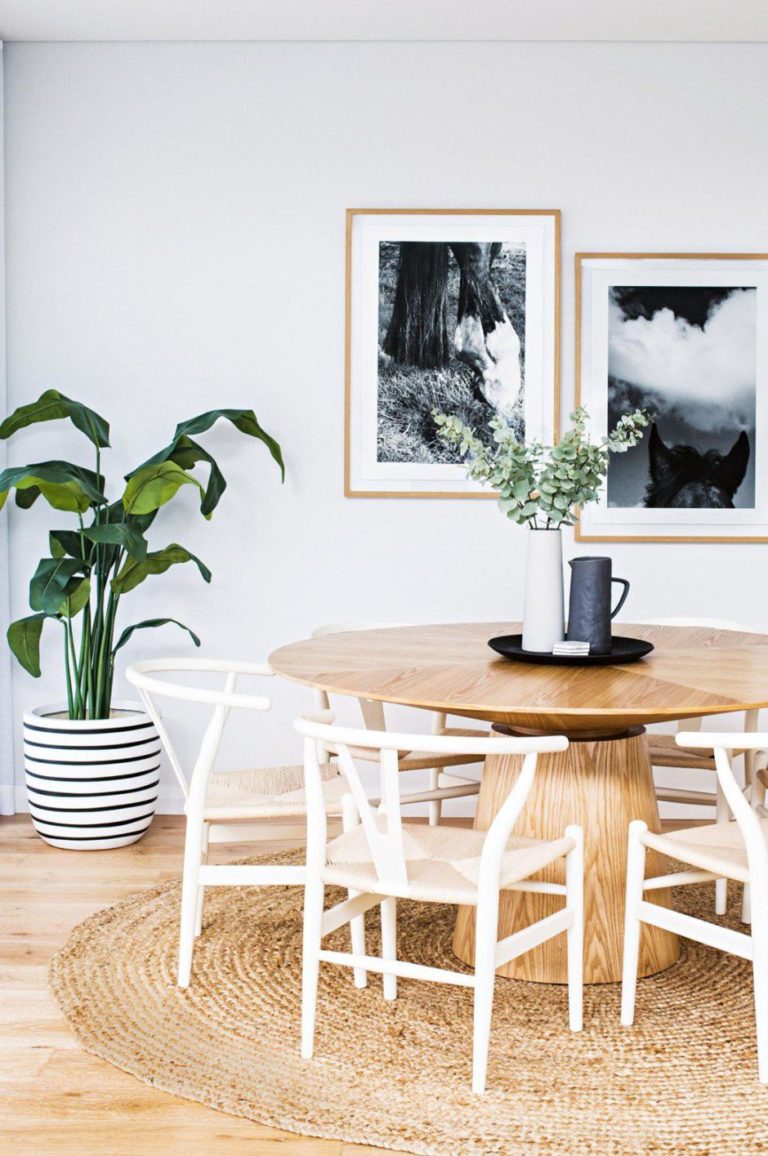 ¿Cómo Crear un Ambiente Saludable en tu Hogar?